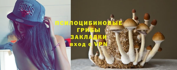 спиды Абинск