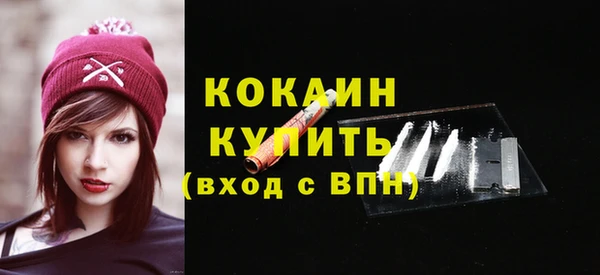 тгк Абаза