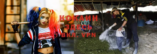 спиды Абинск