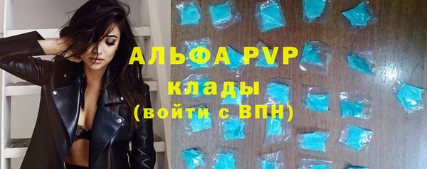 тгк Абаза