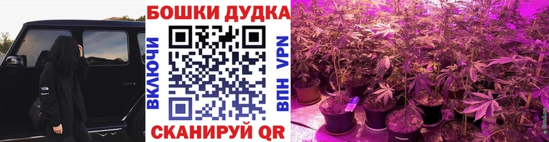 Бошки марихуана VHQ  Хасавюрт 